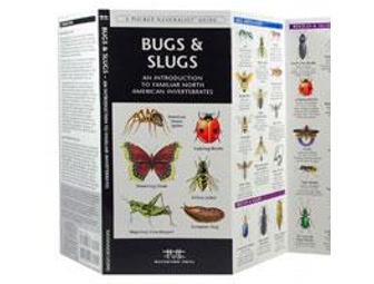 Waterford Press Pocket Naturalist Guides - 18 pack