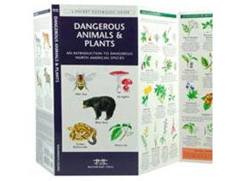 Waterford Press Pocket Naturalist Guides - 18 pack