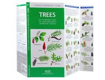 Waterford Press Pocket Naturalist Guides - 18 pack