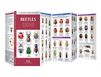 Waterford Press Pocket Naturalist Guides - 18 pack