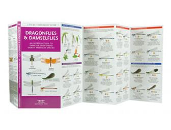 Waterford Press Pocket Naturalist Guides - 18 pack