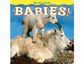 Glacier For the Whole Family