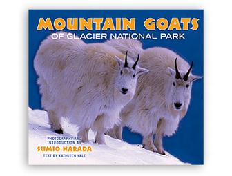 Glacier For the Whole Family