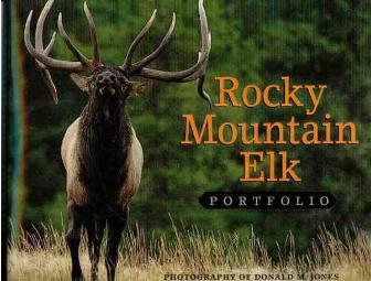 It's All About Elk