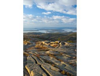 Fall Foliage in Acadia