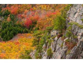 Fall Foliage in Acadia