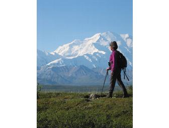 Camp Denali - A Trip of a Lifetime!