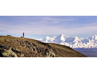 Camp Denali - A Trip of a Lifetime!
