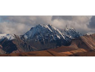 Camp Denali - A Trip of a Lifetime!