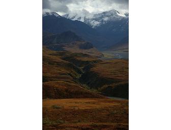 Camp Denali - A Trip of a Lifetime!
