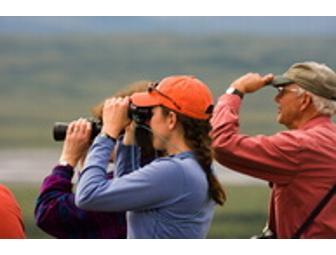 Camp Denali - A Trip of a Lifetime!