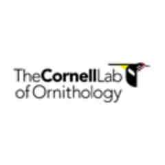 Cornell Lab of Ornithology