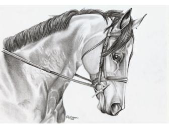 Custom horse or pet portrait