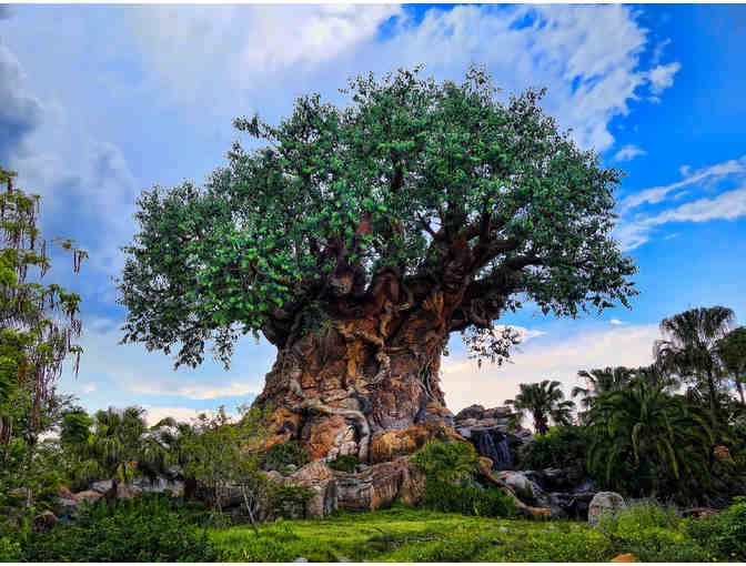 4 One Day Disney World Park Hopper Passes