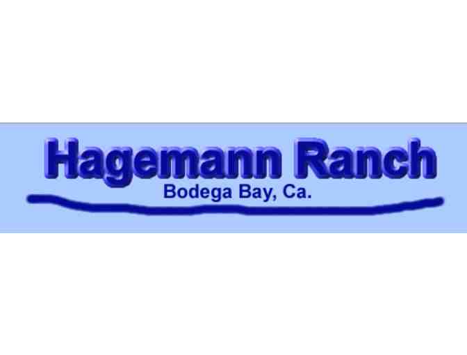 FAMILY FUN @ Hagemann Ranch Trout Fishing Pond