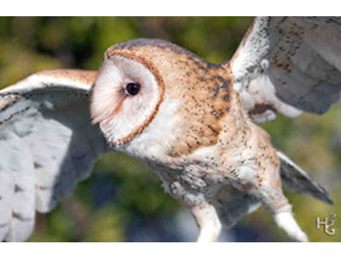 Fund-A-Need Owl Visit for the 3rd grade