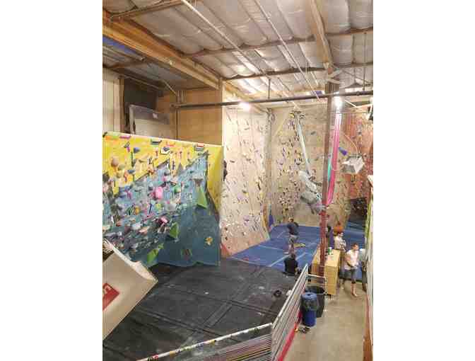 Local Family Outings