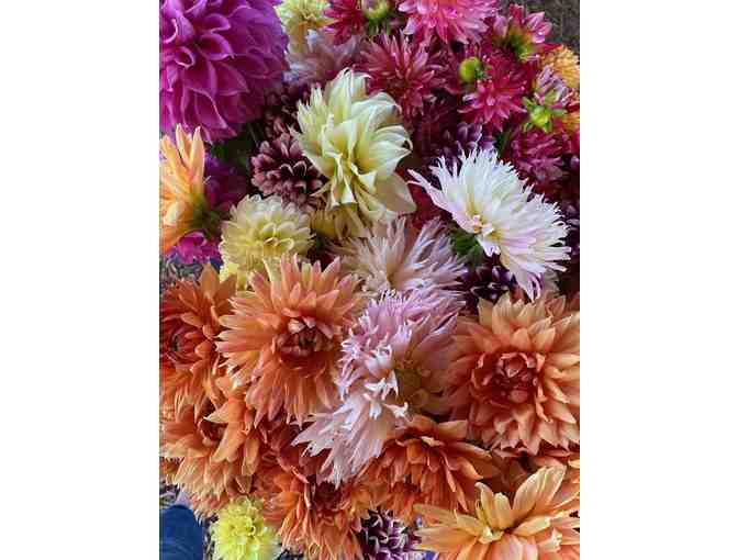 West County Build-Your-Own Party