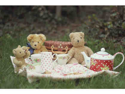 Teddy Bear Tea Party with Ms. Allie