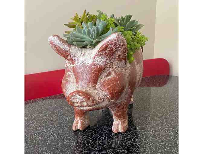 Pig Planter with Succulents