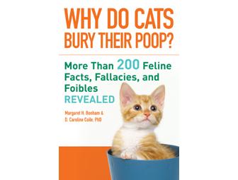 Why Do Cats Bury Their Poop?
