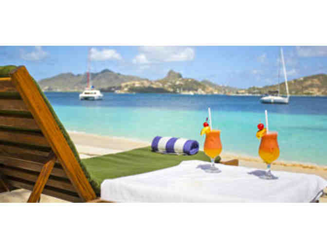 The Grenadines Palm Island - Private Island up to 2 rooms