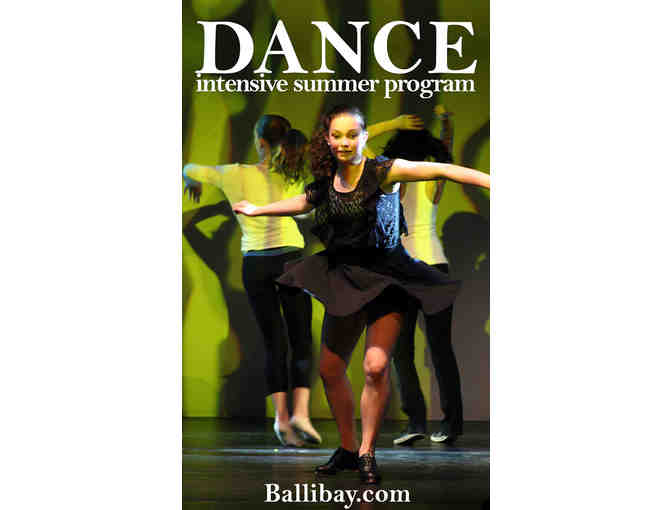 Ballibay Summer Arts Camp $2,300 Tuition Voucher