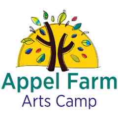 Appel Farm Arts Camp