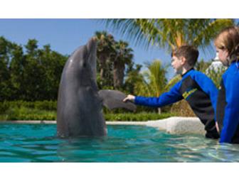Miami Seaquarium's Dolphin Encounter for Two (2)