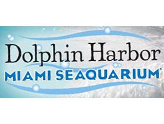 Miami Seaquarium's Dolphin Encounter for Two (2)