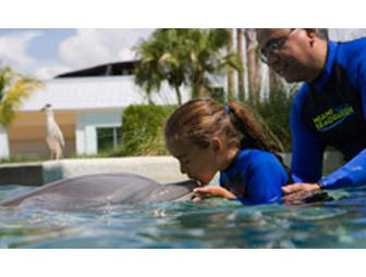 Miami Seaquarium's Dolphin Encounter for Two (2)