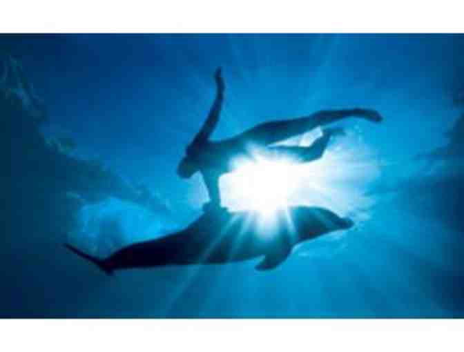 Swim with Dolphins for Two (2) at Dolphin Harbor & Admission to Miami Seaquarium