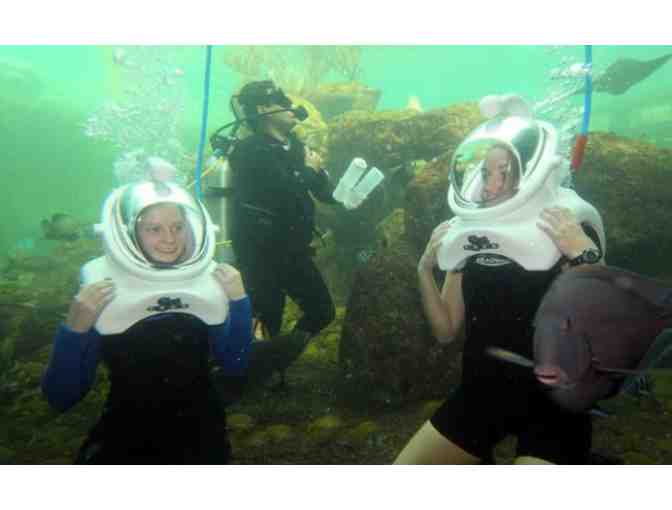 Sea Trek Reef Encounter Experience for Two (2) and Admission to Miami Seaquarium