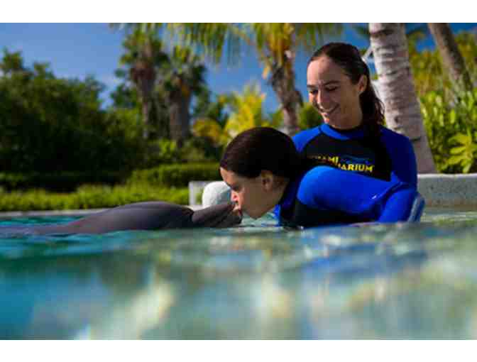 Up Close and Personal Dolphin Encounter for Two (2) and Admission to Miami Seaquarium