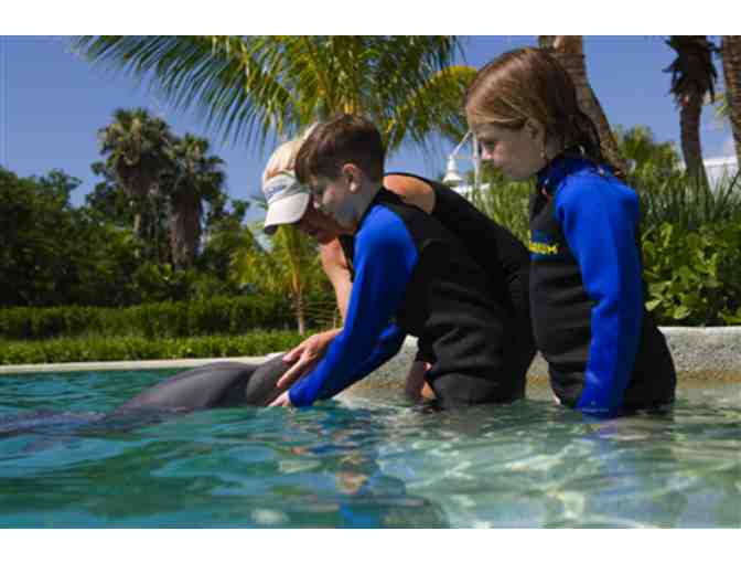 Up Close and Personal Dolphin Encounter for Two (2) and Admission to Miami Seaquarium
