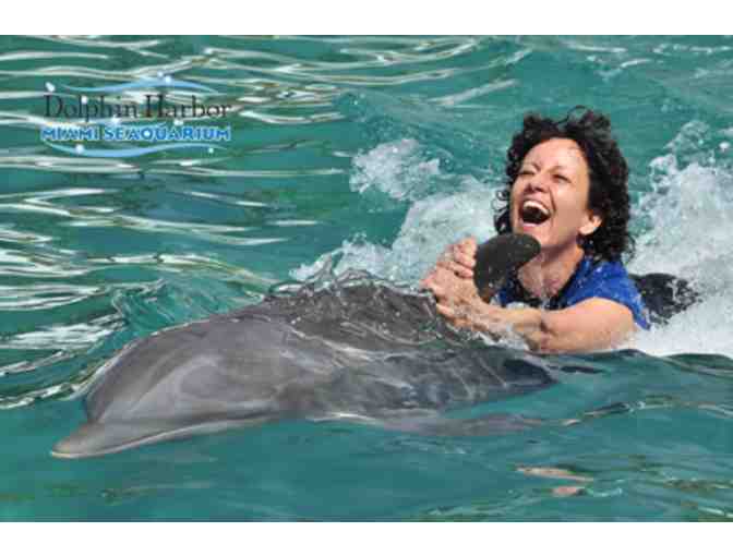 Swim with Dolphins for Two (2) at Dolphin Harbor & Admission to Miami Seaquarium - Photo 1