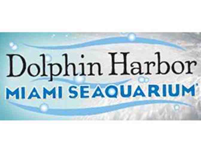 Swim with Dolphins for Two (2) at Dolphin Harbor & Admission to Miami Seaquarium - Photo 3