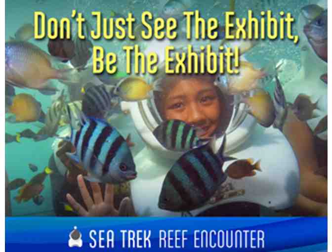 Sea Trek Reef Encounter Experience for (1) one with admission to the Miami Seaquarium!