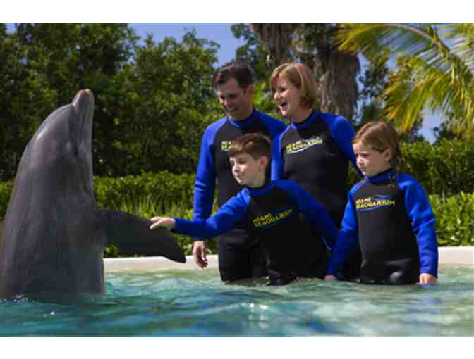 Up Close and Personal - Dolphin Odyssey for Two (2) with admission to Miami Seaquarium!