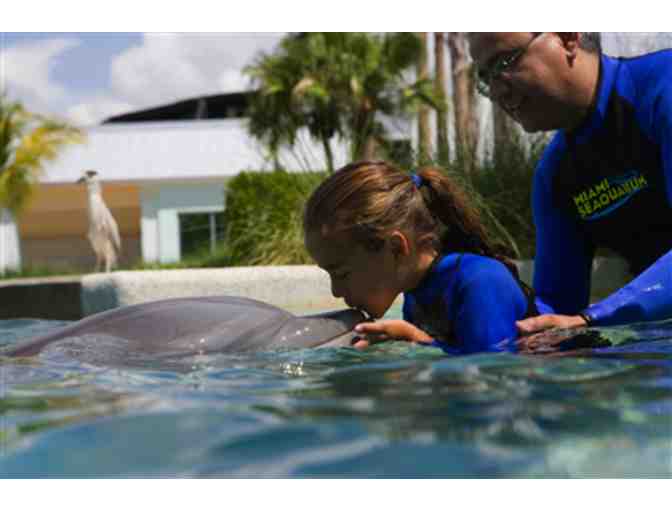 Up Close and Personal - Dolphin Odyssey for Two people with admission to Miami Seaquarium! - Photo 1