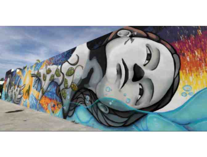 Private Guided Tour of Downtown Hollywood's Mural Project. (Hollywood, FL)
