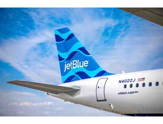 Fly Anywhere with JefBlue - Photo 1