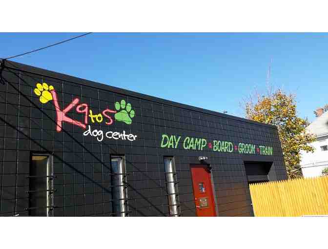 x5 Full Day Day Camp Pass for Dogs at K9 to 5