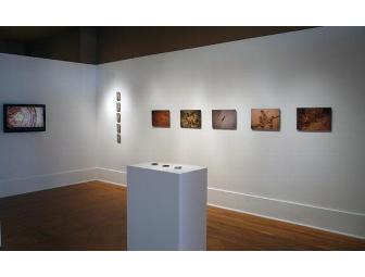 Brian Knep - Encounter