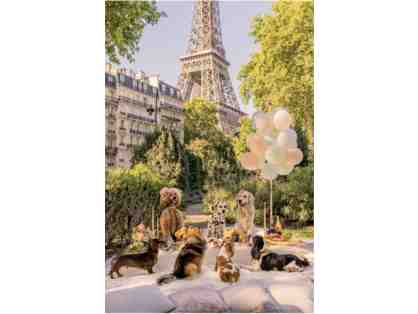 Gray Malin Eiffel Tower Picnic Party, Paris Framed Photograph