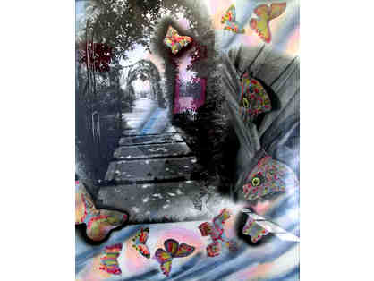 Butterfly in the South of France Digital print from original signed by artist