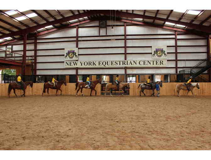 Horse Back Riding in Long Island