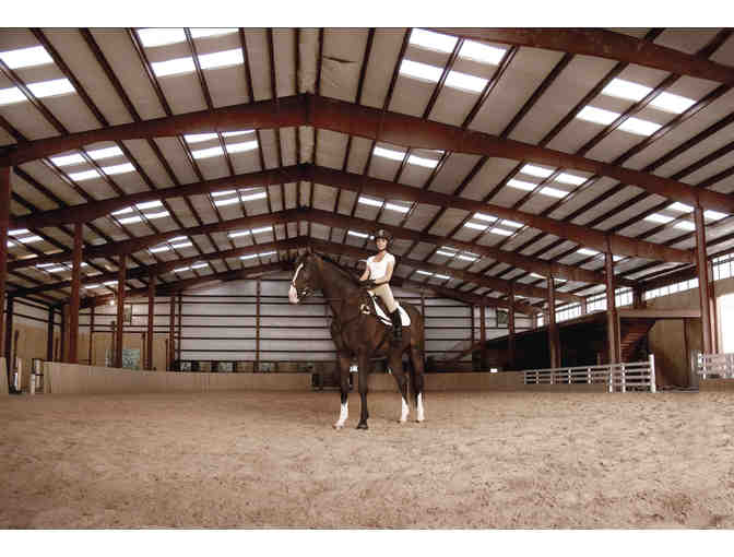 Horse Back Riding in Long Island