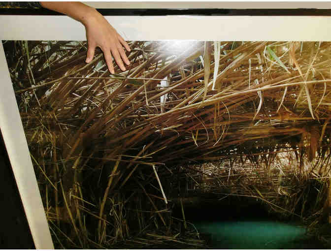 Ofer Wolberger mural size photograph 'Cleansing Pool'