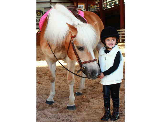 Horse Back Riding in Long Island